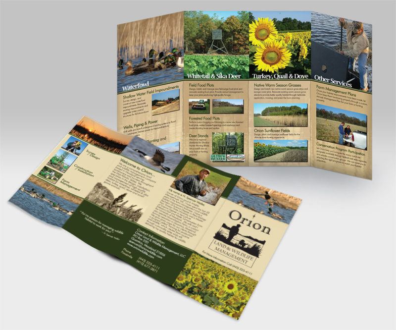 Land and Wildlife Management Company Land and Wildlife Management Company