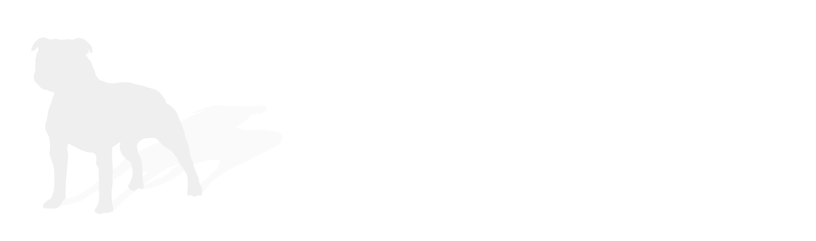 Double Dog Communications