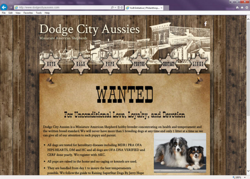 Dodge City Aussies