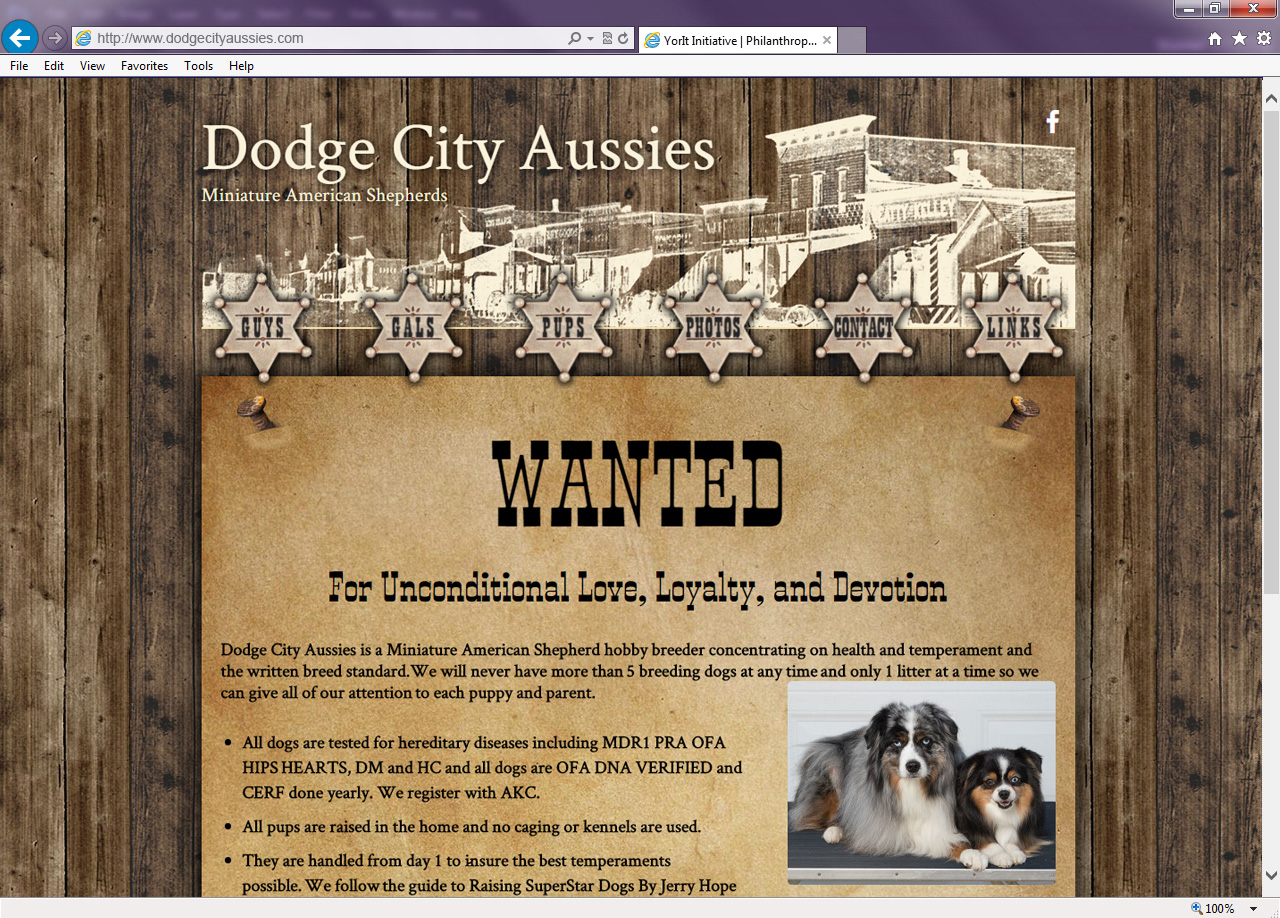 Dodge City Aussies